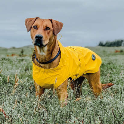 prospekt februar kachel navi hauptprospekt 412x412